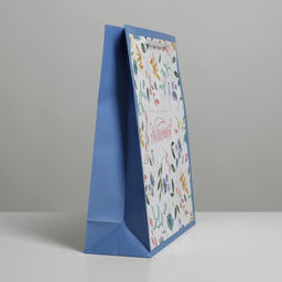 Цена за 2 шт. Пакет подарочный ламинированный, упаковка, Best wishes, ML 21×25×8 см