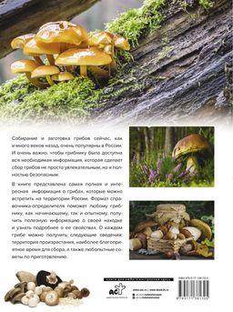 Большая энциклопедия. Грибы. Съедобные и несъедобные. Собираем и готовим.