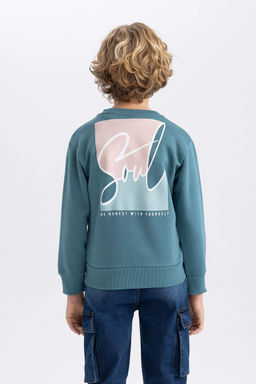 Толстый свитшот с круглым вырезом с принтом для мальчиков - Defacto фото 6