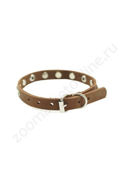 Ошейник BUDDY кожа 10мм 1сл УКРАШЕННЫЙ (1181/1) КОРИЧ. 2