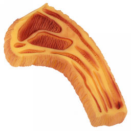 Игрушка для собаки Стейк 20х11,5х2,5см, с пищалкой, ПВХ, фактурная, желтый, Пэт тойс (Pet toys) (Китай)