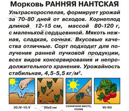Морковь Ранняя Нантская 2г (Аэлита)