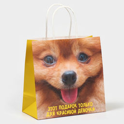 Цена за 2 шт. Пакет подарочный, упаковка, Подарочек, 22?22?11 см