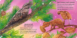 Книжки - картонки. Загадки - рифмы. Животные - невидимки - Робинс фото 4