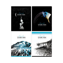 Тетрадь 96л. BG "Dark miracle" клетка (Т5ск96_вл 11117) выб. лак