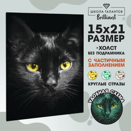 Алмазная мозаика с частичным заполнением на холсте Чёрный кот, 15?21 см