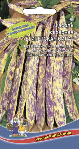 Фасоль ЕГИПЕТСКАЯ СИЛА Обильное плодоношение! Без волокон и пергамента! Идеальна для заморозки! Необычайно декоративна!