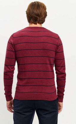 Джемпер F421-1547 bordo - Fine joyce фото 7