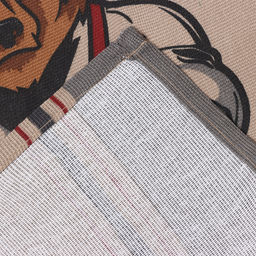 Набор полотенец кухонных Доляна. Настоящий защитник, 35?60 см - 2 шт., рогожка, хлопок 100%, 160 г/м?