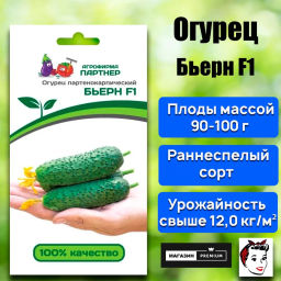 Огурец партенокарпический Бьерн - Партнер фото 8