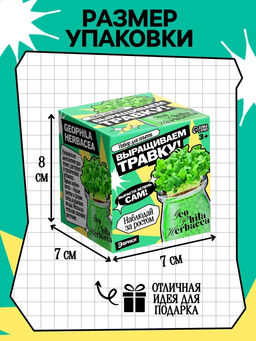 Набор для опытов Выращиваем травку, своими руками, зеленый - Эврики фото 3