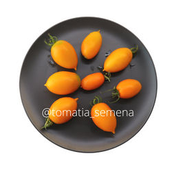 Юстина - Tomatia фото 2