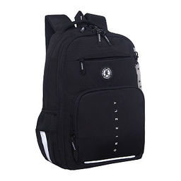 RB-659-2 Рюкзак школьный с обвесом - Grizzly фото 23