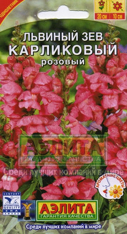 Львиный зев карликовый розовый 10шт. (Аэлита)