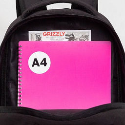 RB-551-7 Рюкзак школьный - Grizzly фото 10