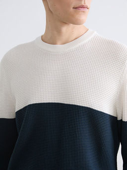 Bisiklet Yaka Renk Bloklu Erkek Triko Kazak