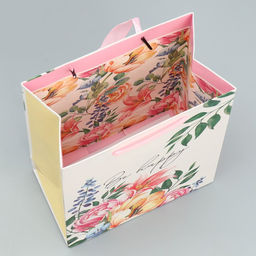 Набор пакетов ламинированных, двухсторонние Женщины с Венеры 12 15 5.5 см 23 27 11.5 см - Дарите счастье фото 16