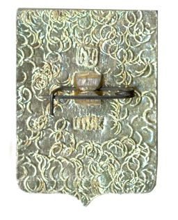 Значок Боровичи