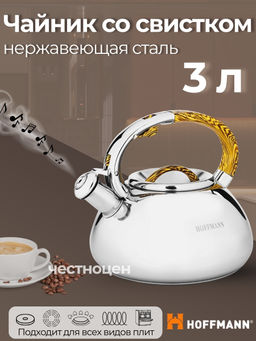 Чайник 3,0л нержавеющая сталь НМ 5533/1 со свистком (в)
