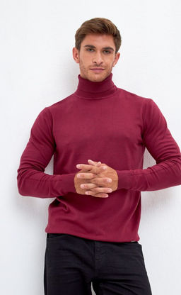 Водолазка мужская F121-01-868 бордовая - Fine joyce фото 14