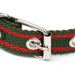 Ошейник брезентовый безразмерный однослойный, 52 х 2 см, хаки/красный - Пижон фото 3