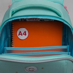 RAf-492-3 Рюкзак школьный - Grizzly фото 24