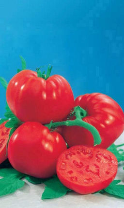 Томат ДИКАЯ РОЗА Урожай на всю родню!