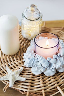 Blumentag / Zlatka DRF-026 Ракушки морские 3 шт. 6.3 см Vasum Cornigerum