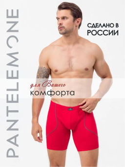 Трусы шорты удлиненные мужские PMHLL-1469 - Pantelemone фото 27