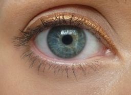 El Corazon Подводка для глаз Gold золото  фото 2