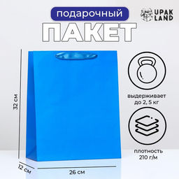 Пакет ламинированный Синий, 26 х 32 х 12 см - UPAK LAND фото 3