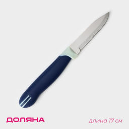 Нож для овощей кухонный Доляна «Страйп», лезвие 7.5 см, синий