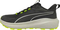 Кроссовки взрослые