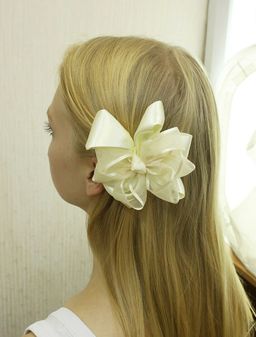 Зажим для волос Z653700075