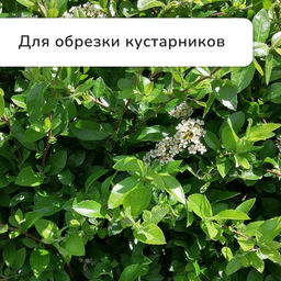 Сучкорез плоскостной, 14,6 (37 см), металлические ручки с поролоновыми накладками, Greengo  фото 6