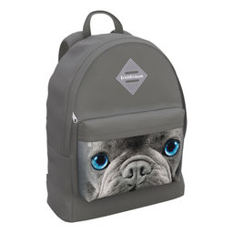 Цена за 1 шт. Рюкзак ErichKrause EasyLine® 17L Grey Dog