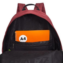 RQL-417-8 Рюкзак - Grizzly фото 38