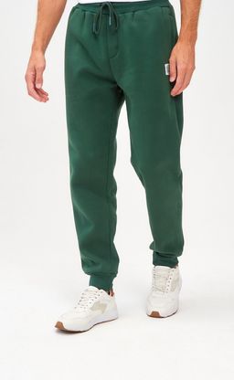 Брюки спорт F121-0821-1 pine - Fine joyce фото 2