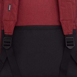 RQL-417-8 Рюкзак - Grizzly фото 36