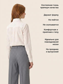 Брюки 2ш72426 серая полоска