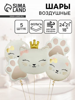 Воздушные шары «Кошечка с короной», набор 5 шт.