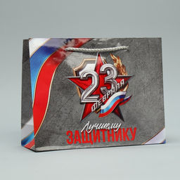 Пакет ламинированный Лучшему защитнику, MS 23 х 18 х 8 см