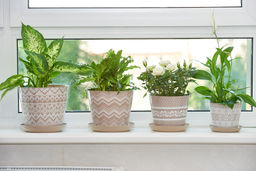 Кашпо круглое 3,3л Миссони Этника с декором с поддоном арт.381331 - Полимербыт фото 2