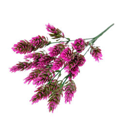 Хмель, В300, розовый - Вещицы фото 4