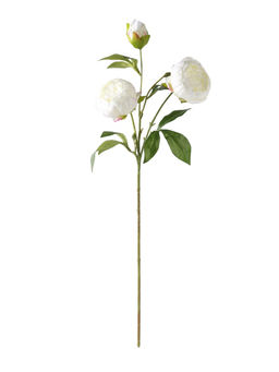 Цветы искусственные "Пион Бьорг" d-8,5 см 65 см, белый