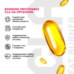 БАД к пище ProteinRex CLA FAT BURNER - конъюгированная линолевая кислота, 60 капсул  фото 2