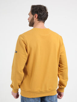 Толстовка мужская _ 05198 - F5 фото 3