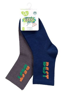 Носки для мальчика 2 пары Борисоглебский Трикотаж