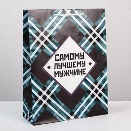 Пакет ламинированный Самому лучшему мужчине, L 28 х 38 х 9 см