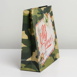 Цена за 2 шт. Пакет подарочный ламинированный, упаковка, С 23 февраля, ML 25?21?8 см